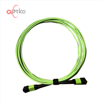 Kabel Batang 12F MTP MPO OM5